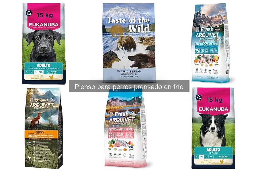 ¿Qué es el pienso para perros prensado en frío? Beneficios y características