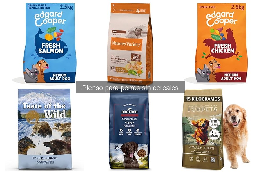 ¿Qué es el pienso para perros sin cereales? Beneficios y más