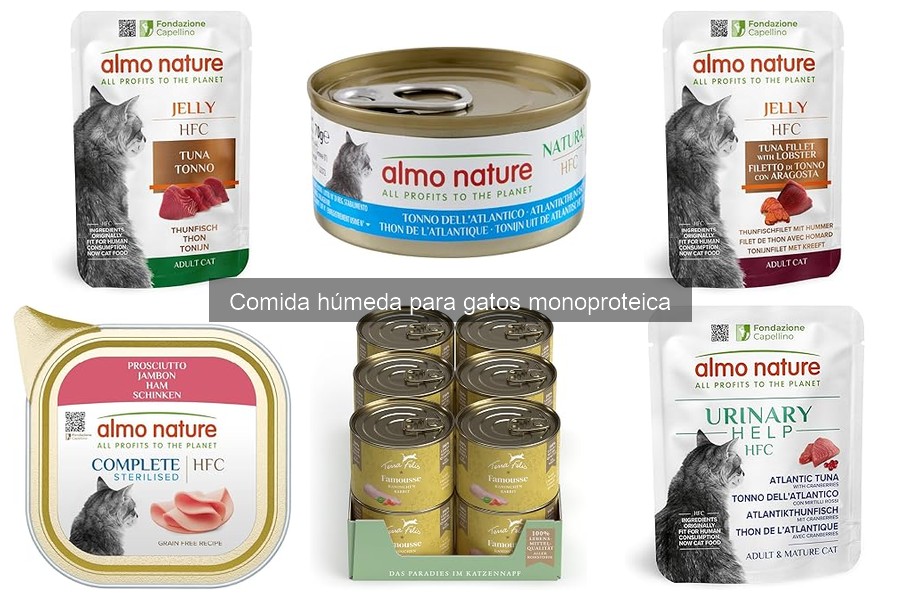 ¿Qué es la comida húmeda monoproteica para gatos?