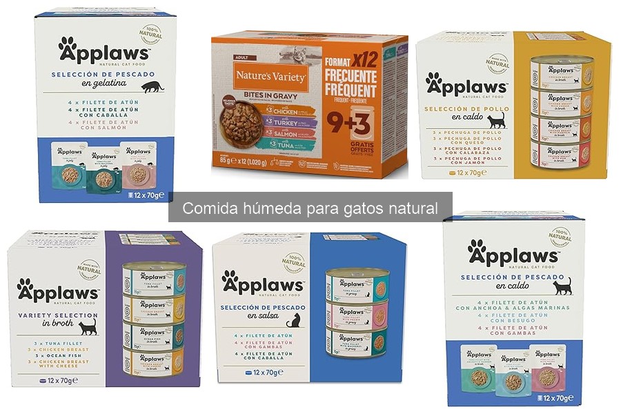 ¿Qué es la comida húmeda natural para gatos? Beneficios y más