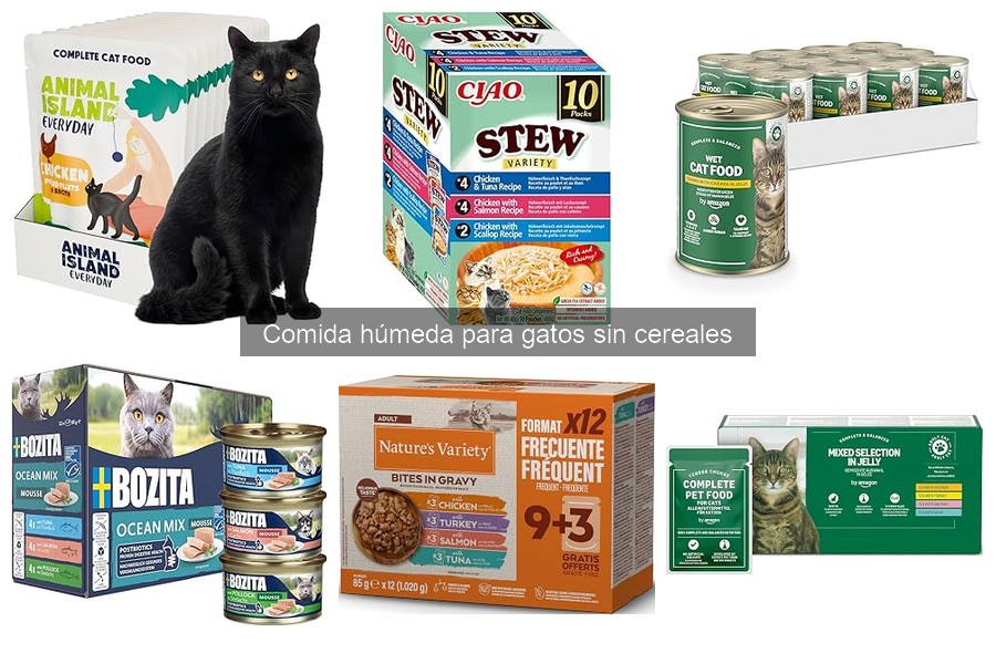 ¿Qué es la comida húmeda para gatos sin cereales?