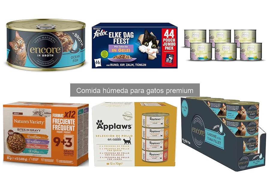 ¿Qué es la comida húmeda premium para gatos? Beneficios y características