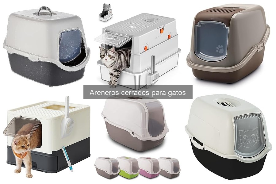 ¿Qué es un arenero cerrado para gatos? Características y Ventajas