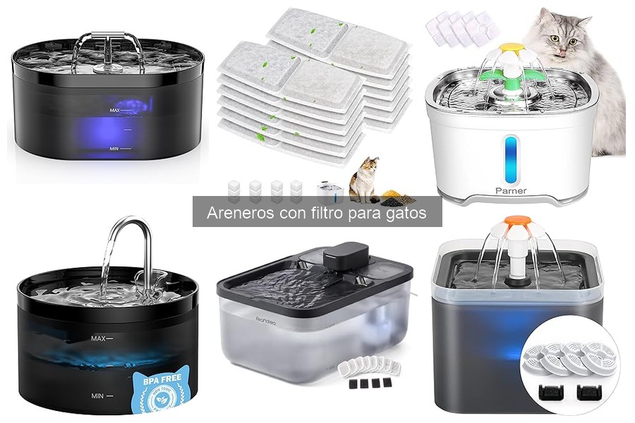 ¿Qué es un arenero con filtro para gatos? Ventajas y más