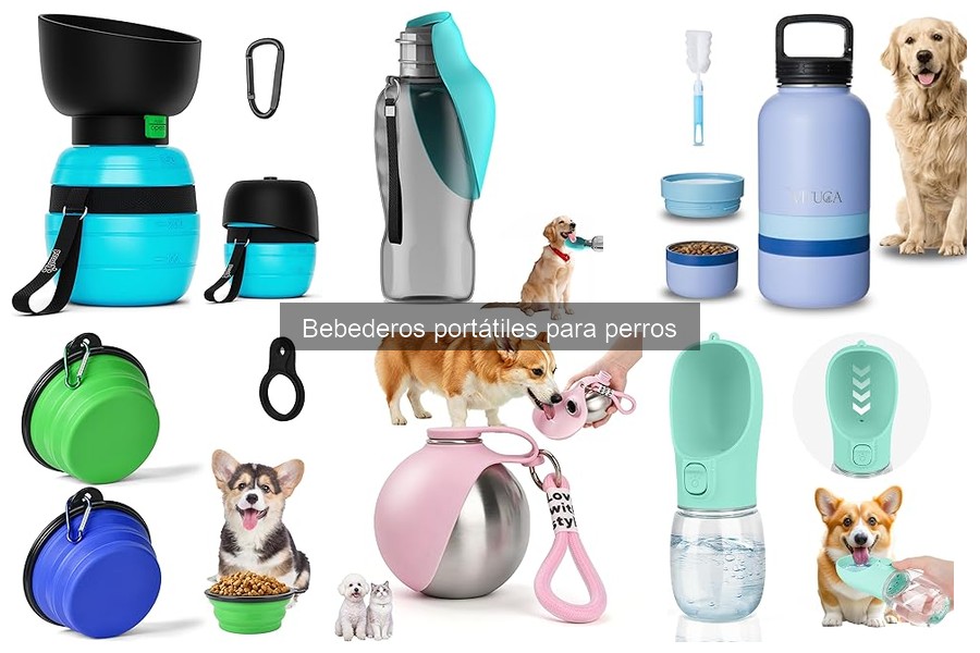 ¿Qué es un bebedero portátil para perros? Descubre sus ventajas