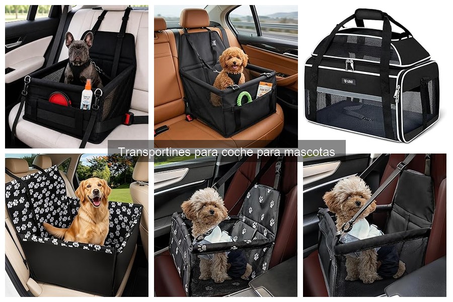 ¿Qué es un transportín para coche para mascotas?