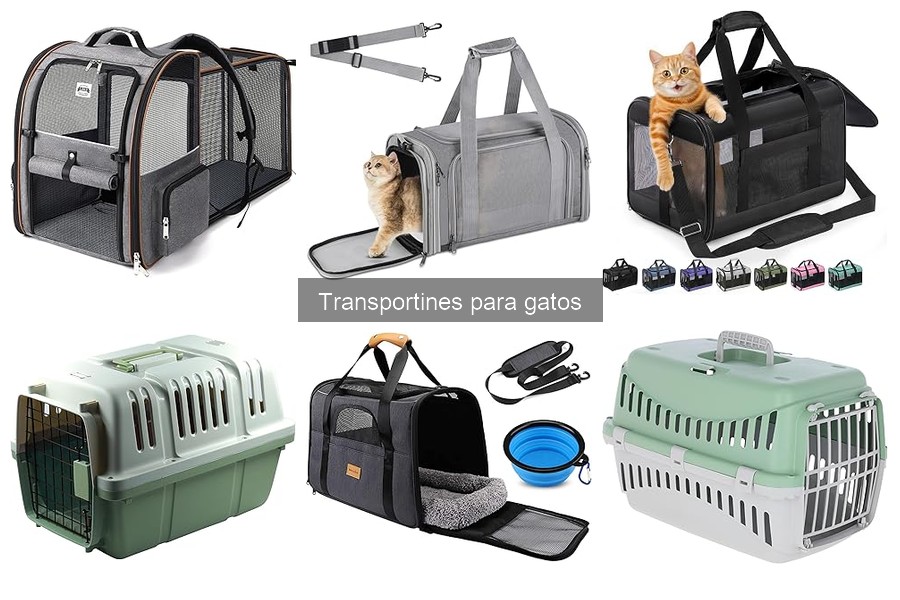 ¿Qué es un transportín para gatos? Características y funciones