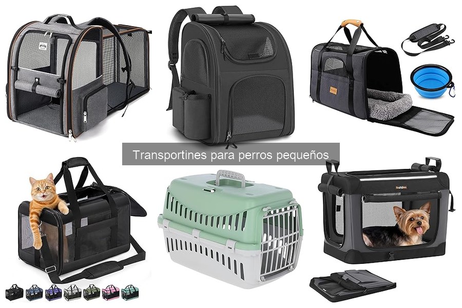 ¿Qué es un transportín para perros pequeños? Características clave