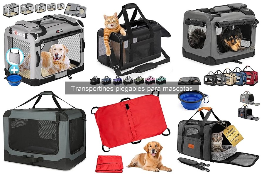 ¿Qué es un transportín plegable para mascotas? Características