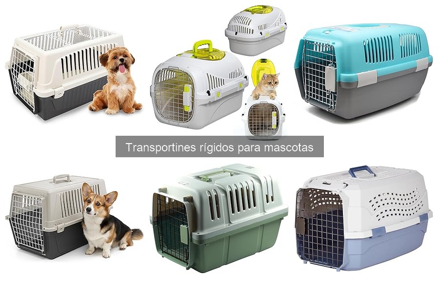 ¿Qué es un transportín rígido para mascotas? Guía completa