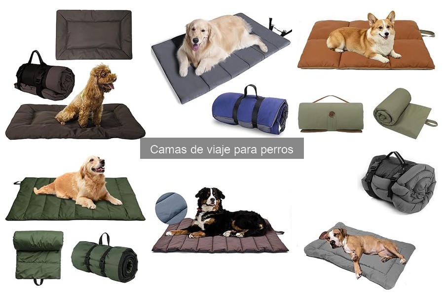 Qué es una cama de viaje para perros: beneficios y características