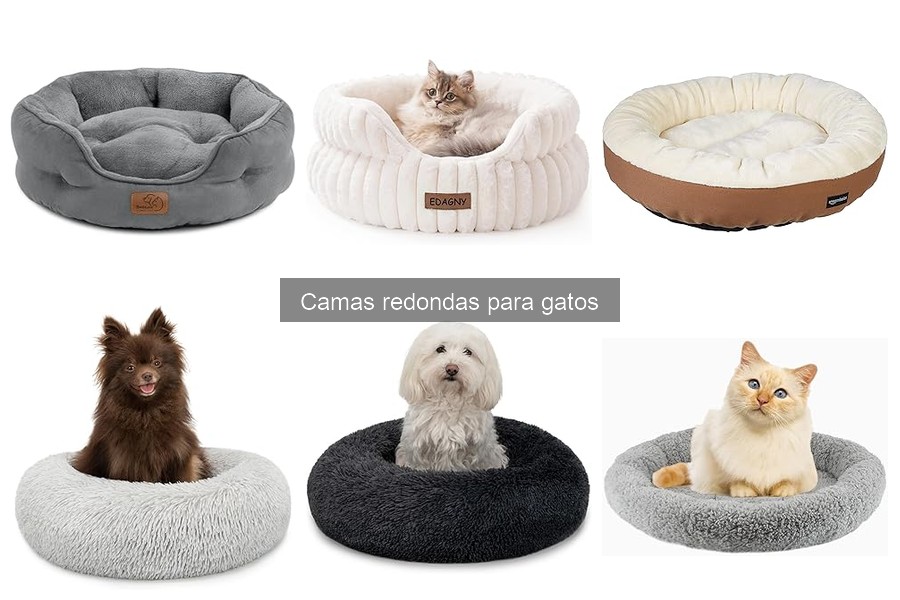 ¿Qué es una cama redonda para gatos? Características y beneficios