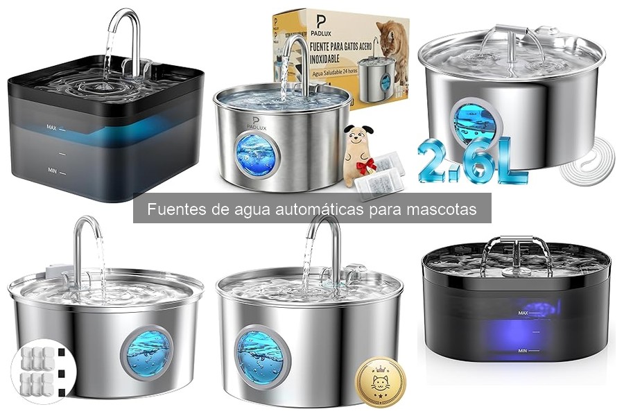 ¿Qué es una fuente de agua automática para mascotas?