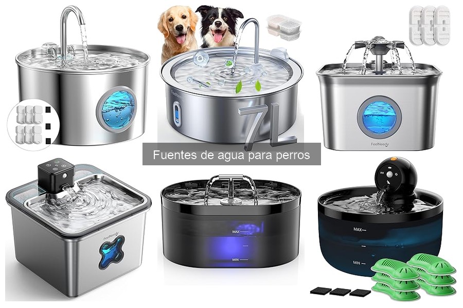 ¿Qué es una fuente de agua para perros? | Guía Informativa