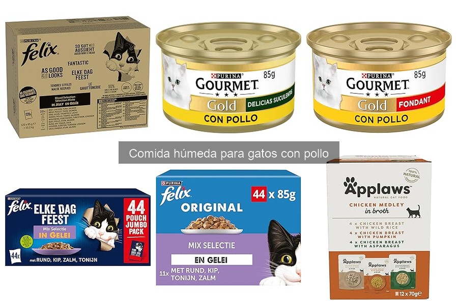 ¿Qué hacer si hay moho o mal olor en la comida húmeda de gato?