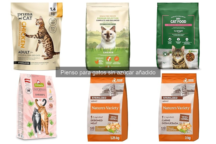 ¿Qué hacer si mi gato no acepta el pienso sin azúcar?