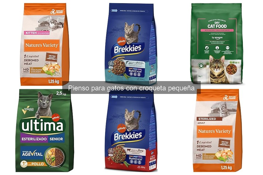 ¿Qué hacer si mi gato no quiere comer pienso con croqueta pequeña?