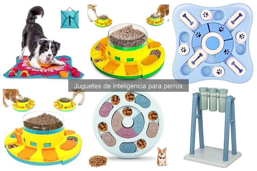 ¿Qué hacer si mi perro no juega con el juguete de inteligencia?