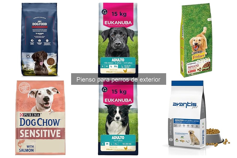 ¿Qué hacer si mi perro rechaza el pienso de exterior?