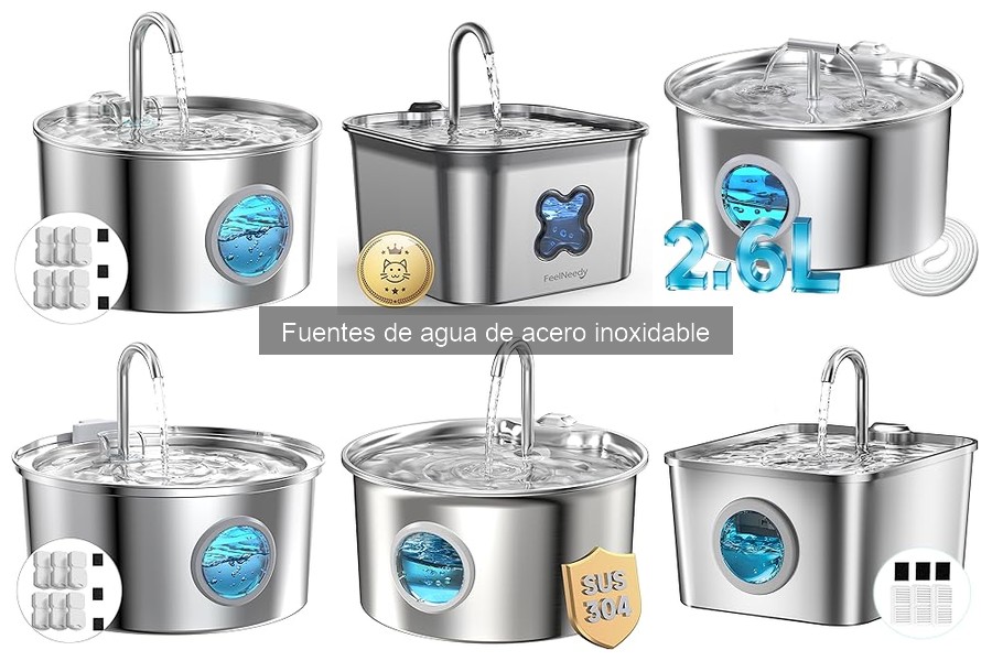 ¿Qué hacer si tu mascota no usa la fuente de agua de acero inoxidable?