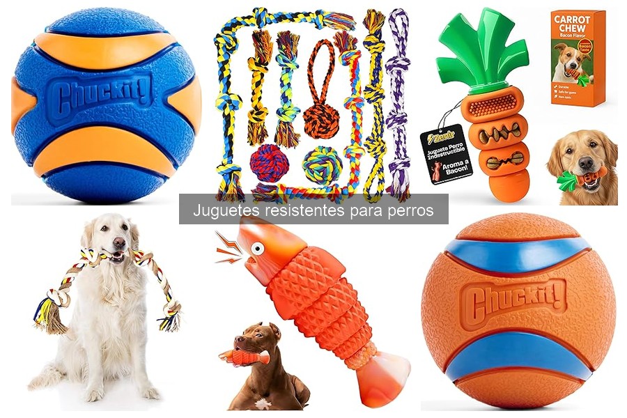 ¿Qué hacer si tu perro rompe un juguete resistente?