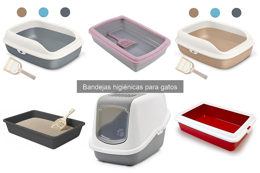 ¿Qué son las bandejas higiénicas para gatos? Beneficios y más