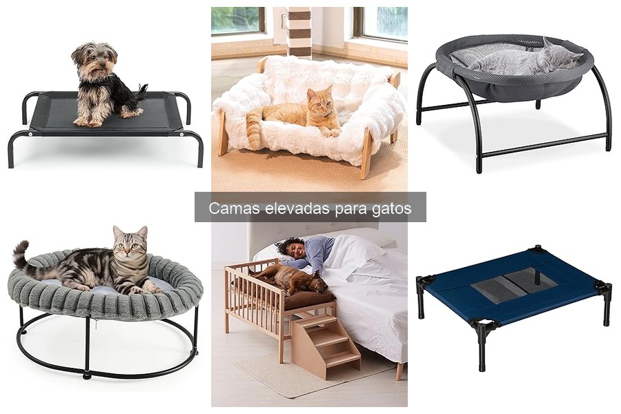 ¿Qué son las camas elevadas para gatos? Guía completa