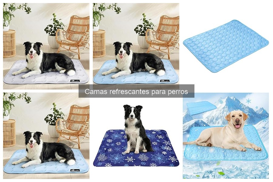 ¿Qué son las camas refrescantes para perros? Descubre su funcionamiento