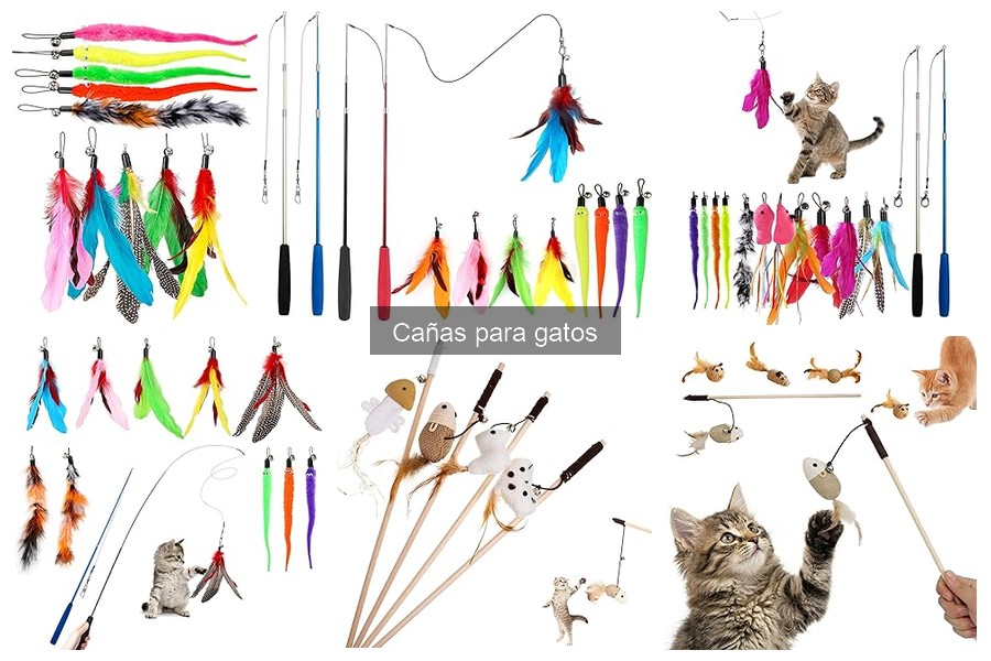 ¿Qué son las cañas para gatos? Características y beneficios