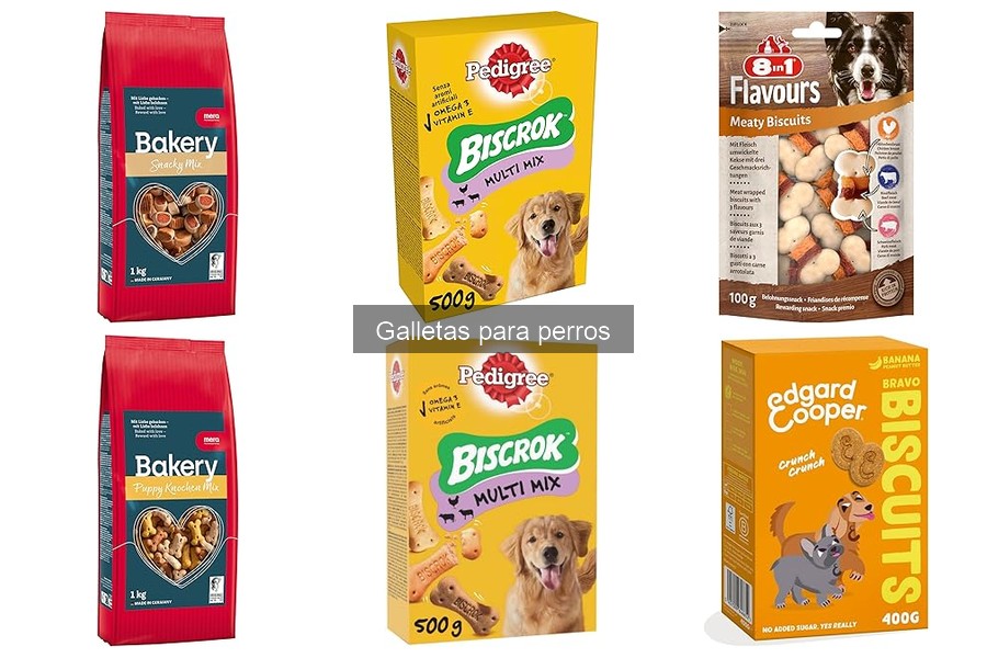 ¿Qué son las galletas para perros? Beneficios e ingredientes