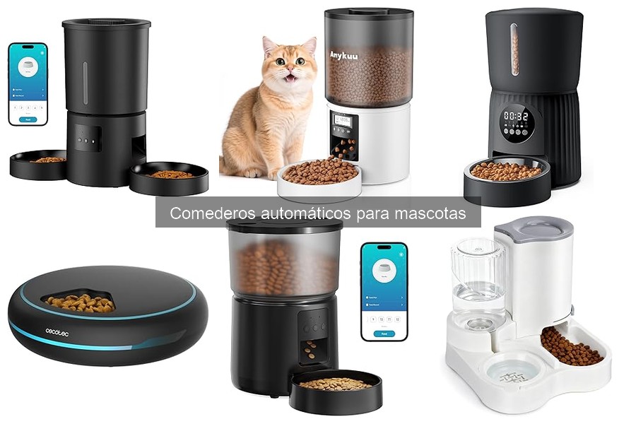 ¿Qué son los comederos automáticos para mascotas?