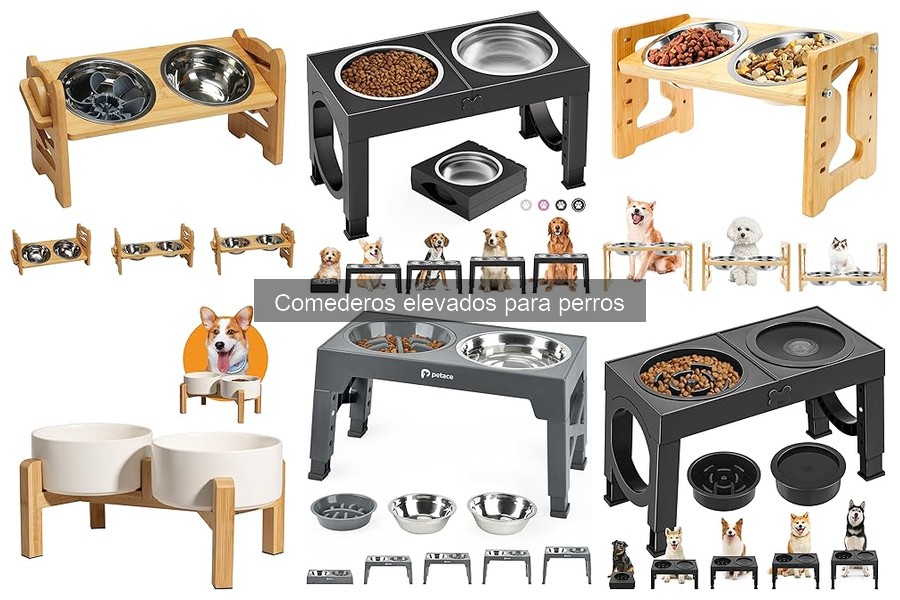 ¿Qué son los comederos elevados para perros? Definición y características