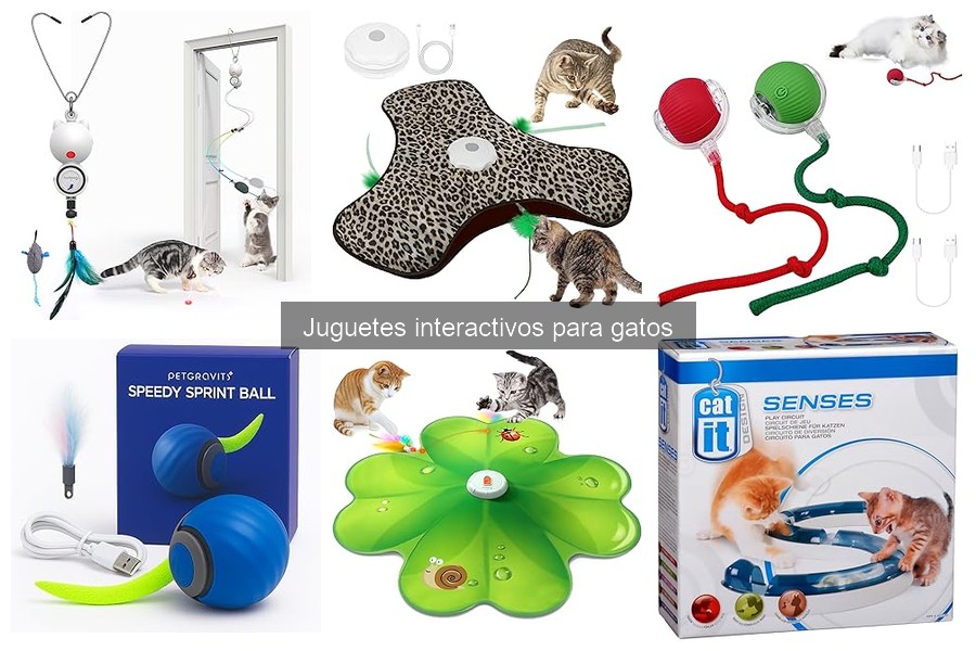 ¿Qué son los juguetes interactivos para gatos? Guía y beneficios
