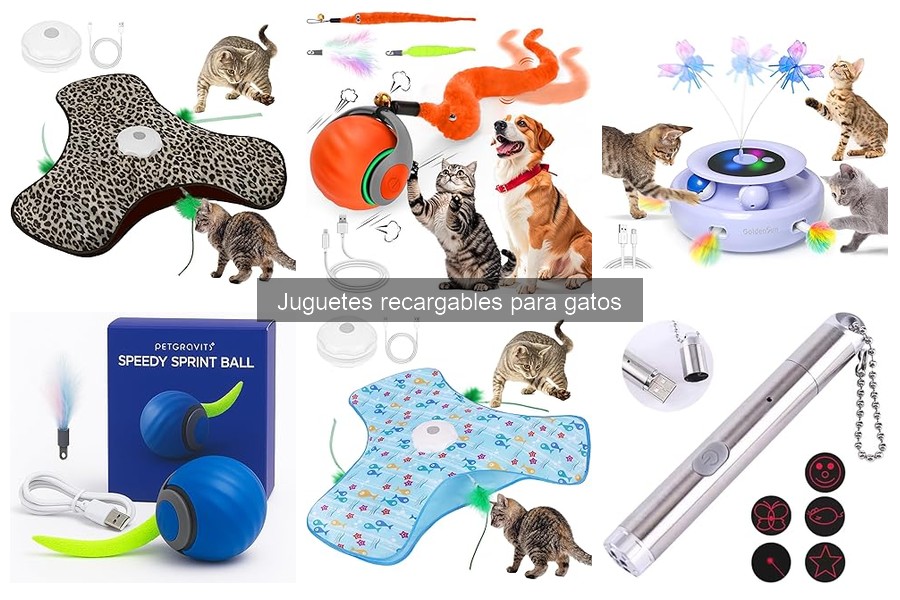 ¿Qué son los juguetes recargables para gatos? Descúbrelos