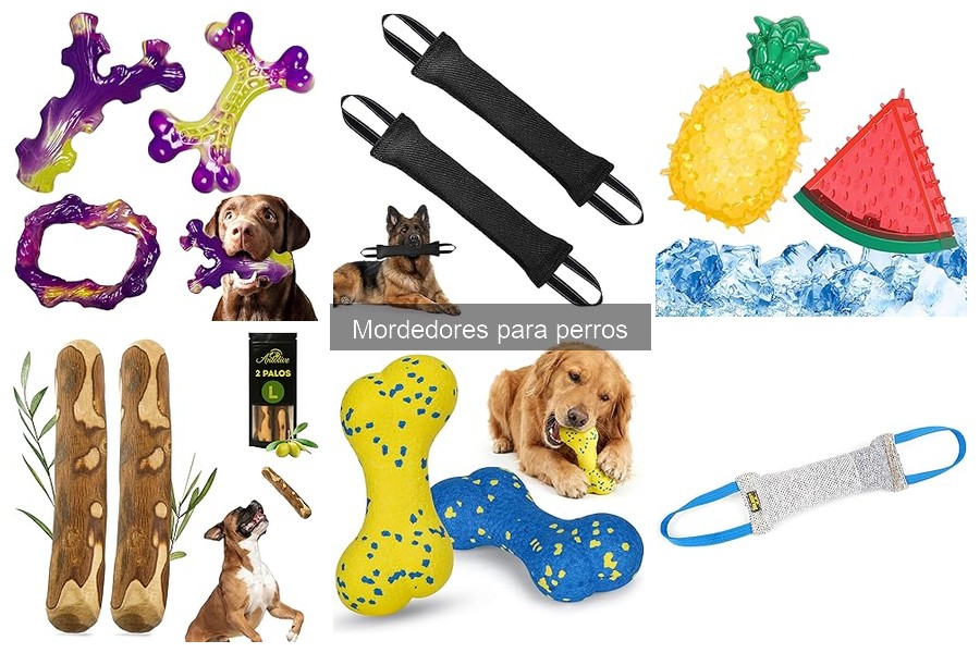 ¿Qué son los mordedores para perros? Beneficios y tipos