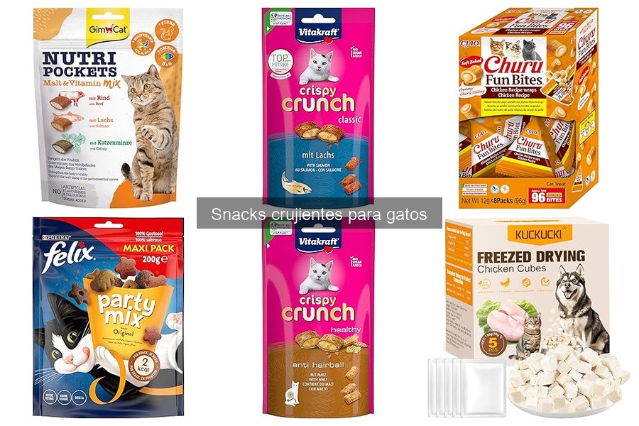 ¿Qué son los snacks crujientes para gatos? Beneficios y más