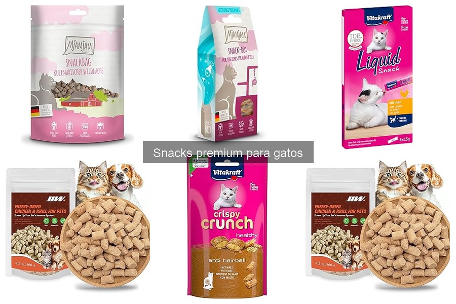 ¿Qué son los snacks premium para gatos? Descubre sus beneficios