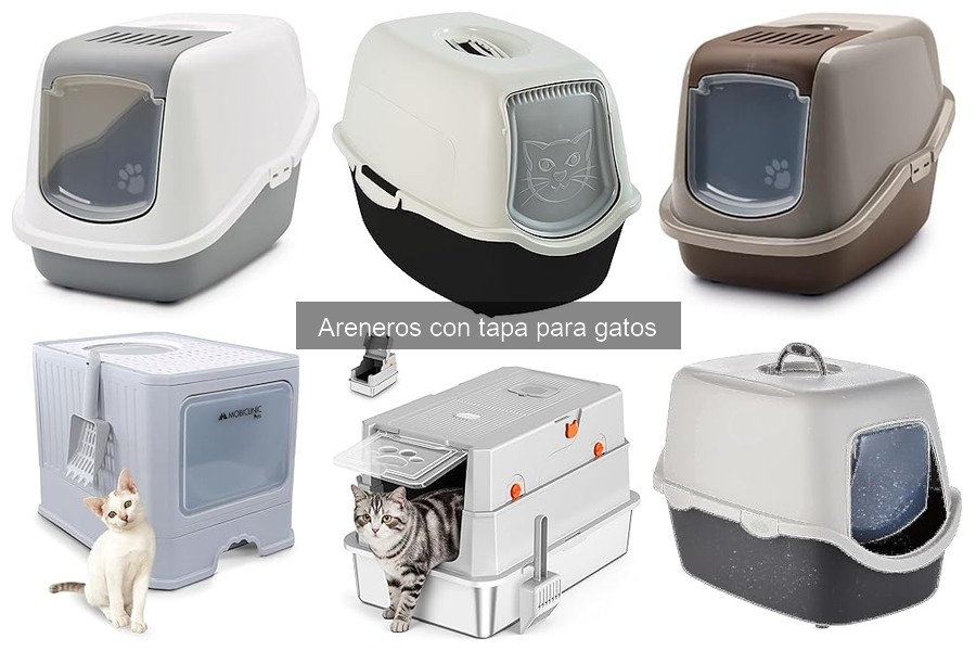 ¿Qué tamaño de arenero con tapa necesita mi gato?