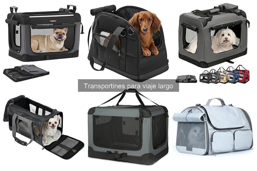 ¿Qué tamaño de transportín necesita tu mascota?