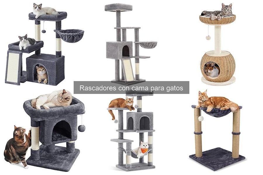 Rascadores con cama para gatos: ¿Qué son y sus beneficios?
