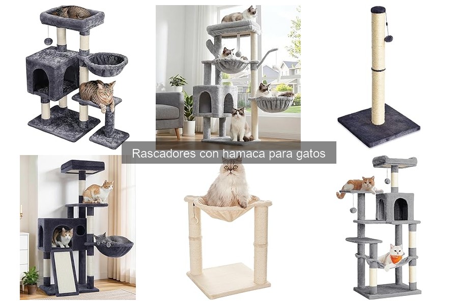 Rascadores con hamaca vs. tradicionales: ¿Cuál elegir?