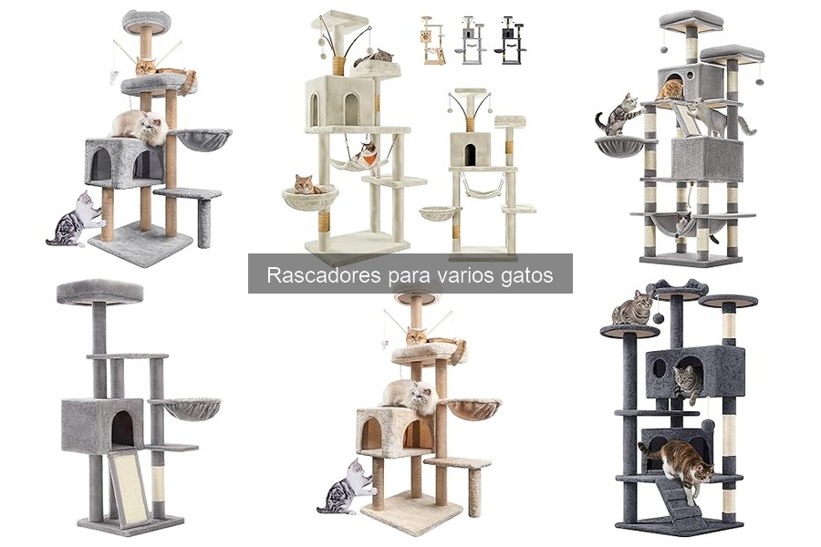Rascadores para gatos a buen precio: dónde comprarlos