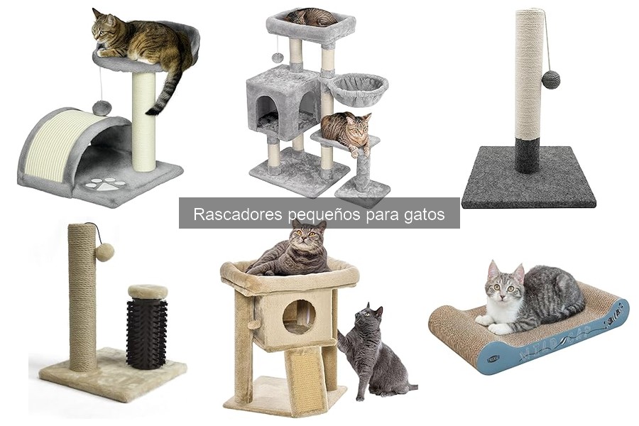 Rascadores pequeños para gatos: beneficios y funciones esenciales