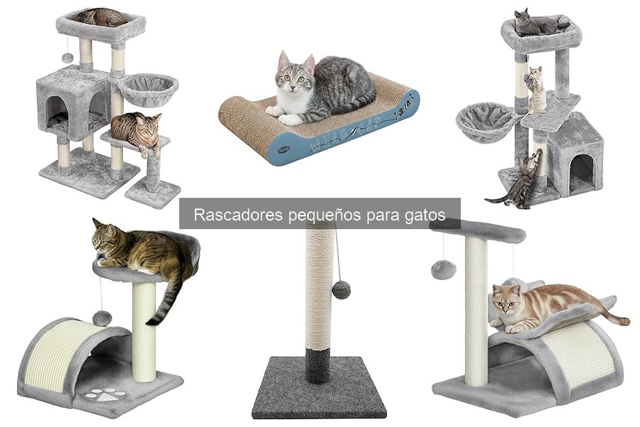 Rascadores pequeños recomendados para gatos difíciles | Guía de compra