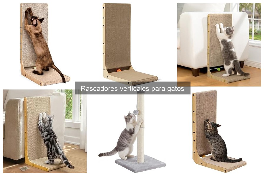 Rascadores verticales para gatos: ¿Qué son y su importancia?