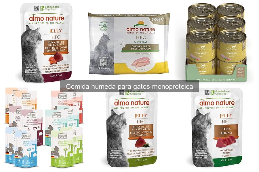 Recetas caseras de comida húmeda monoproteica para gatos