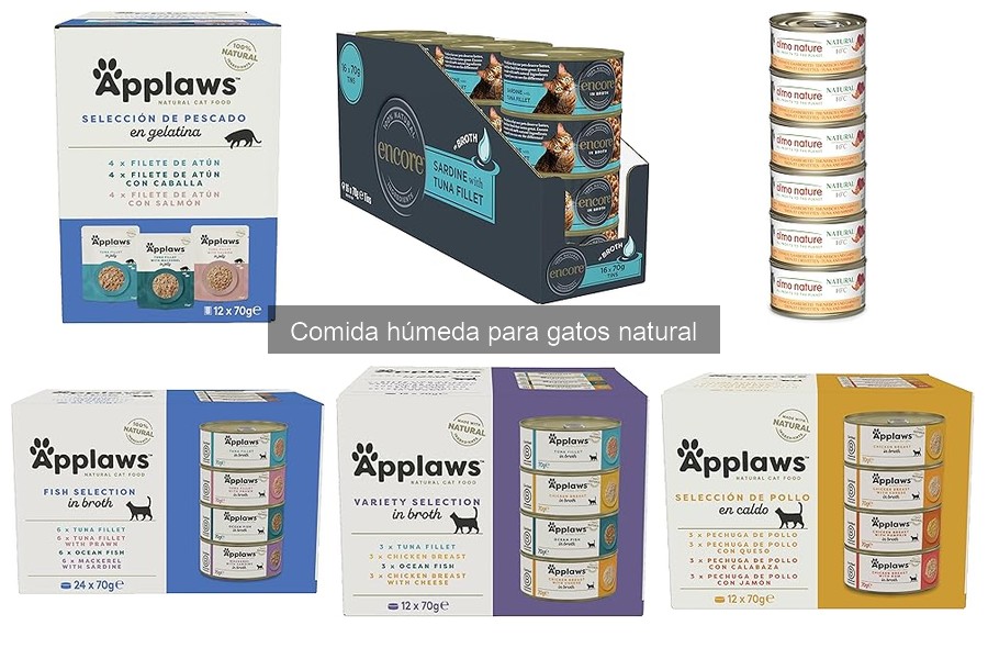 Recetas Caseras de Comida Húmeda Natural para Gatos