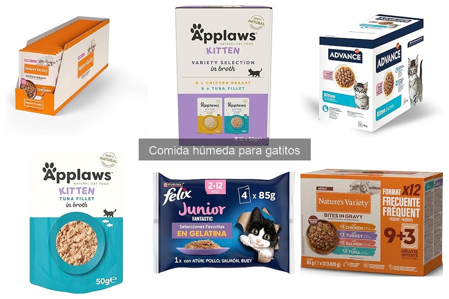 Recetas Caseras de Comida Húmeda para Gatitos