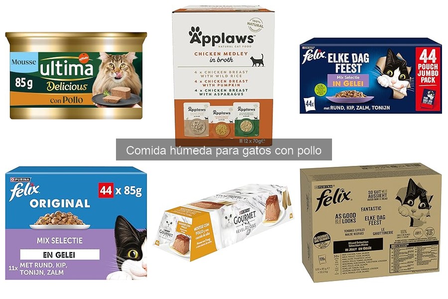 Recetas caseras de comida húmeda para gatos con pollo