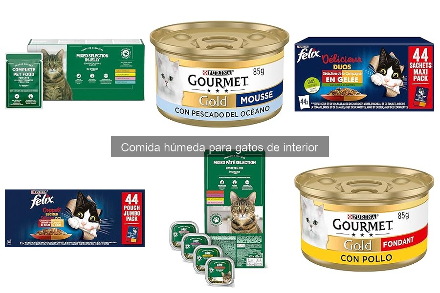 Recetas Caseras de Comida Húmeda para Gatos de Interior